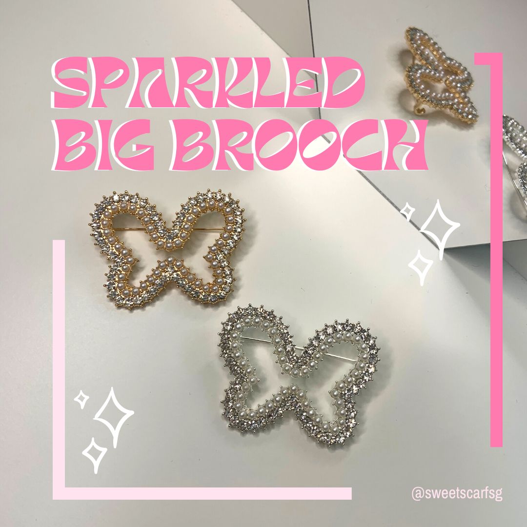 Sparkled Big Brooches Main Image